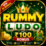 Rummy ludo